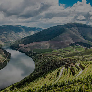 Douro - Portugal