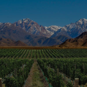 Mendoza - Argentina